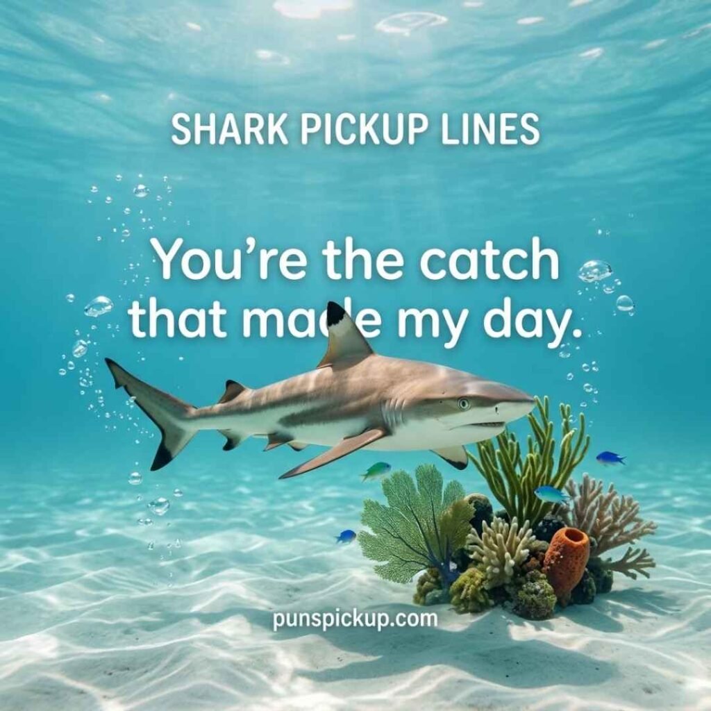 Cute realistic reef shark in tropical water with shark pickup lines text and a wholesome ocean-themed pickup line.